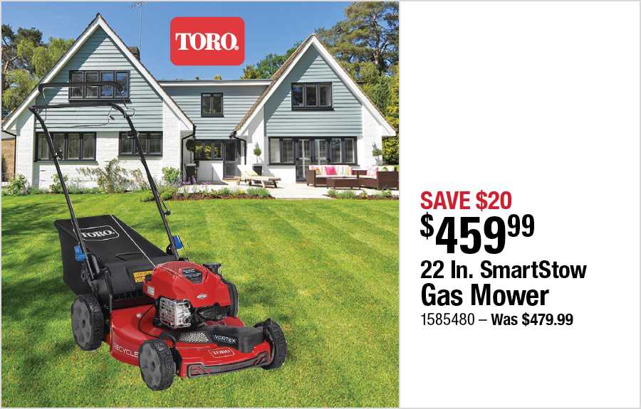 22 In. SmartStow Gas Mower